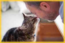 Animal Communication with Heron Saline